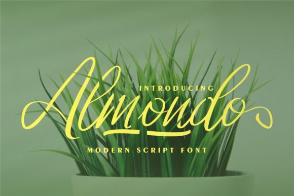 Almondo: A Flowing Script for Stunning Typography