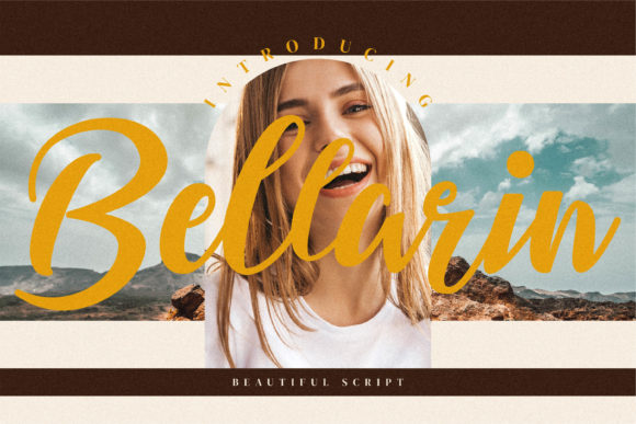 Bellarin: A Script Amp That Earns Its Space