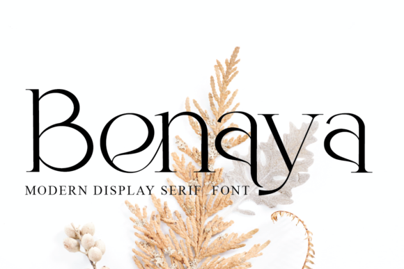 Benaya: A Stylish Serif for Branding