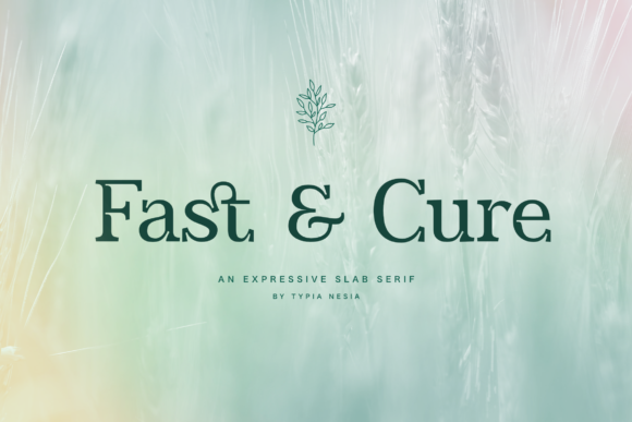 Fast and Cure: A Serif Font That Makes Your Brand Look Thoughtful & Trustworthy