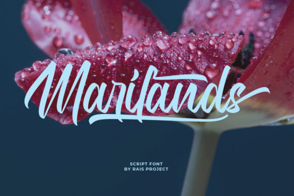 Marilands: A Stylish Font for Modern Campaigns