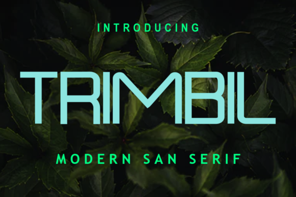 Trimbil: A Modern Font for Professional Branding